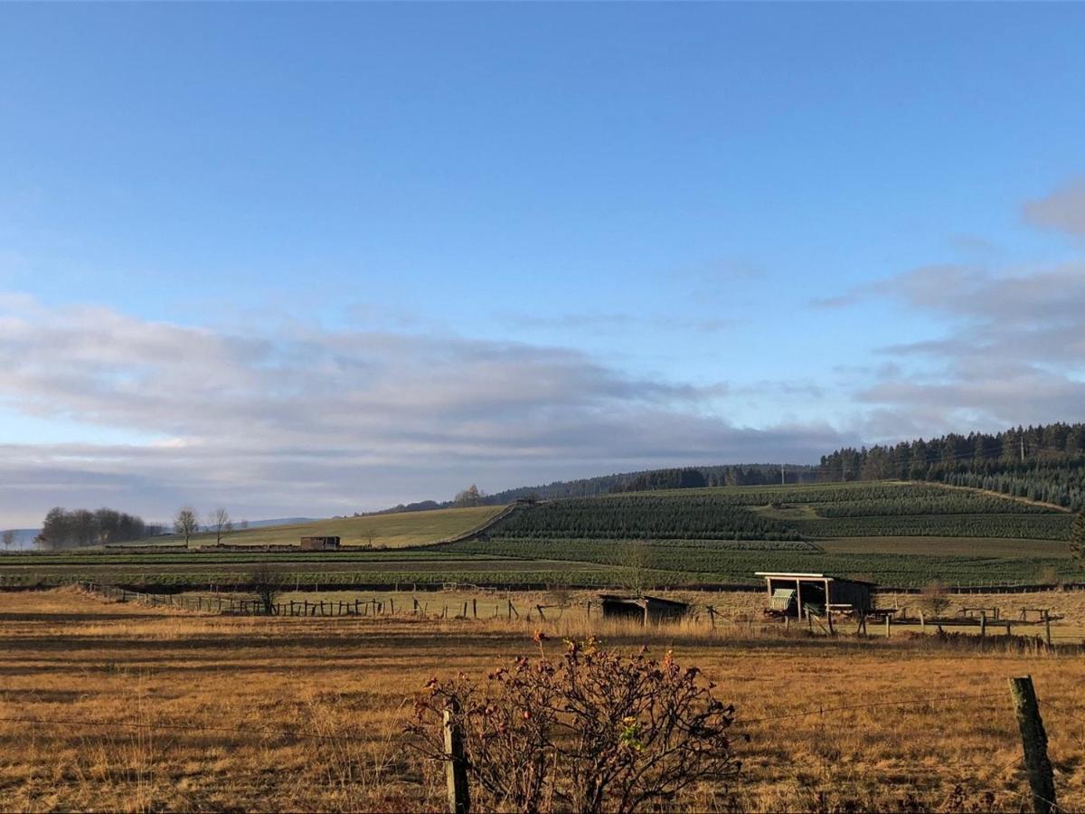 Ferienhaus Kuestelblick Medebach Exteriör bild