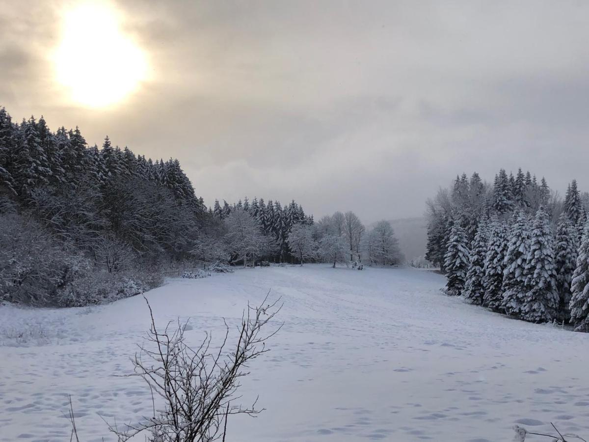 Ferienhaus Kuestelblick Medebach Exteriör bild