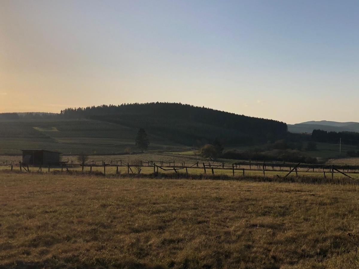 Ferienhaus Kuestelblick Medebach Exteriör bild