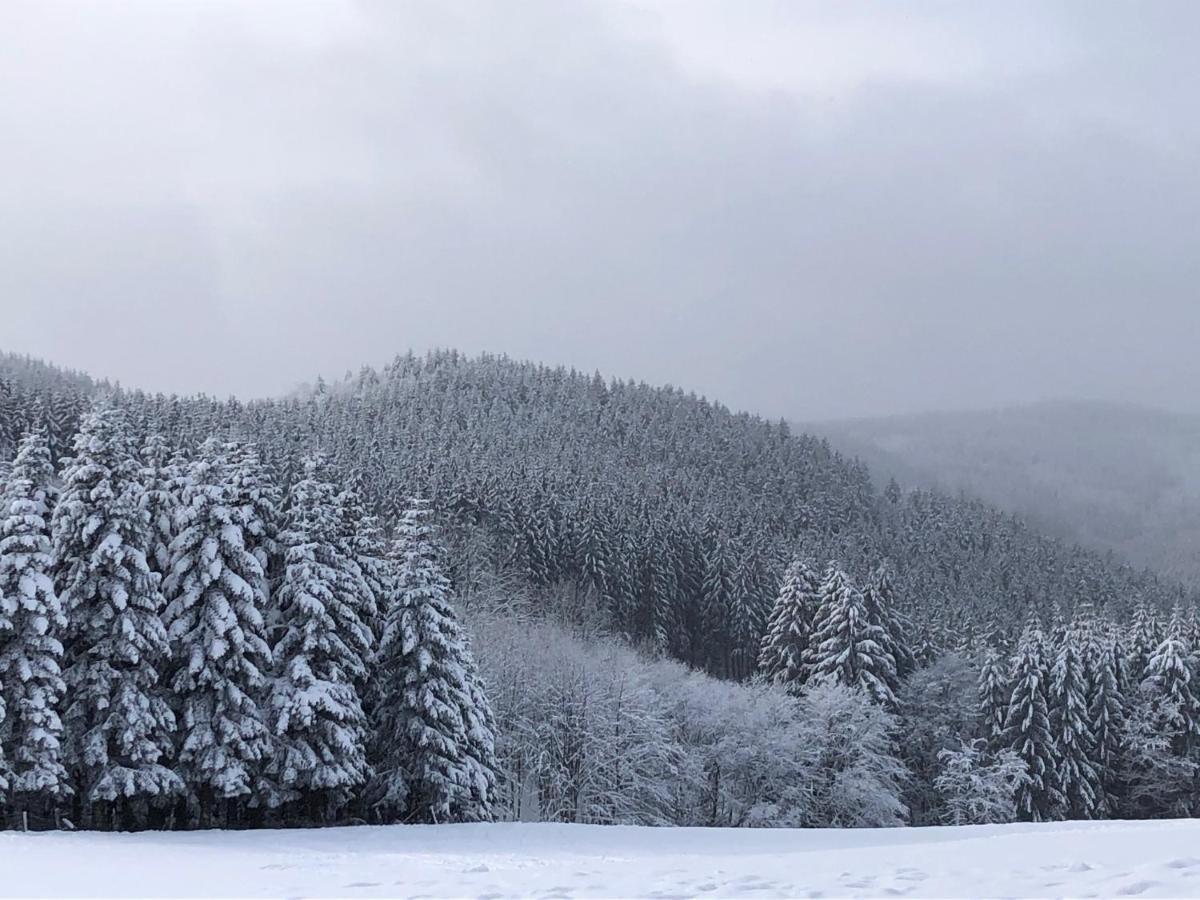 Ferienhaus Kuestelblick Medebach Exteriör bild