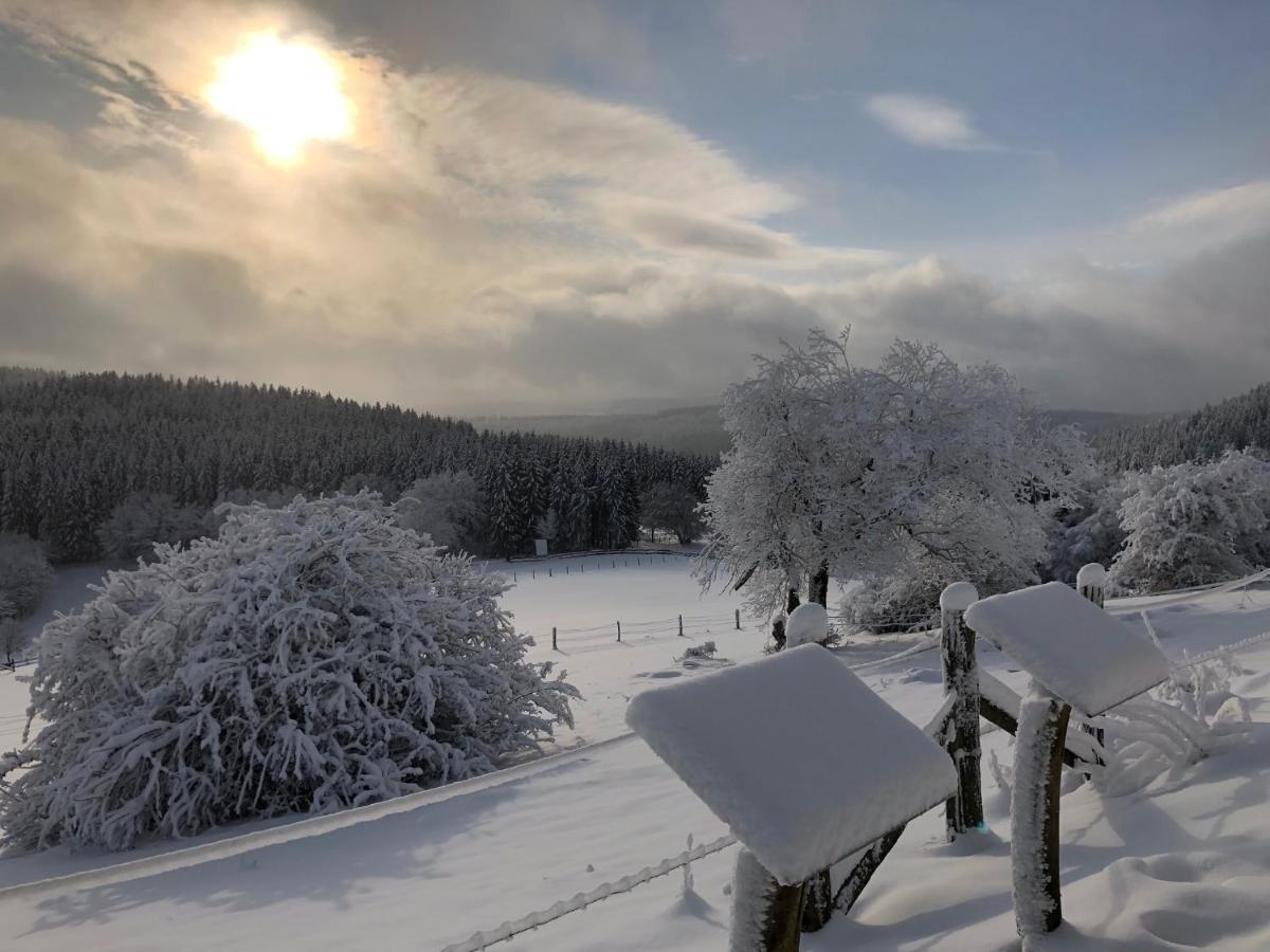 Ferienhaus Kuestelblick Medebach Exteriör bild